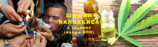 ГАЛЛЮЦИНОГЕННЫЕ ГРИБЫ Баксан