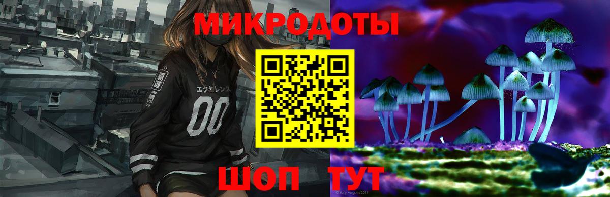 Галлюциногенные грибы Cubensis Арзамас